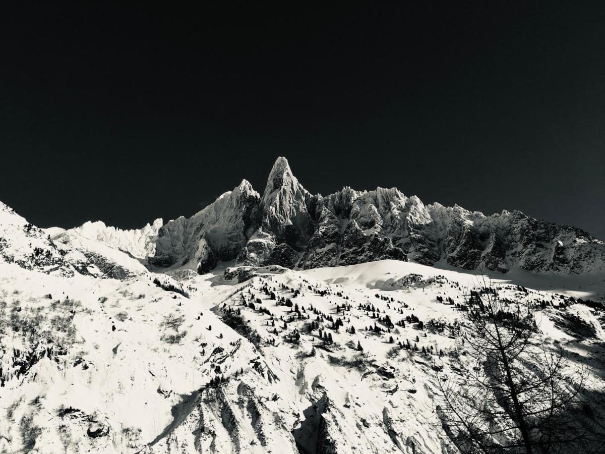 Le Petit Cham Apartment Chamonix Bagian luar foto